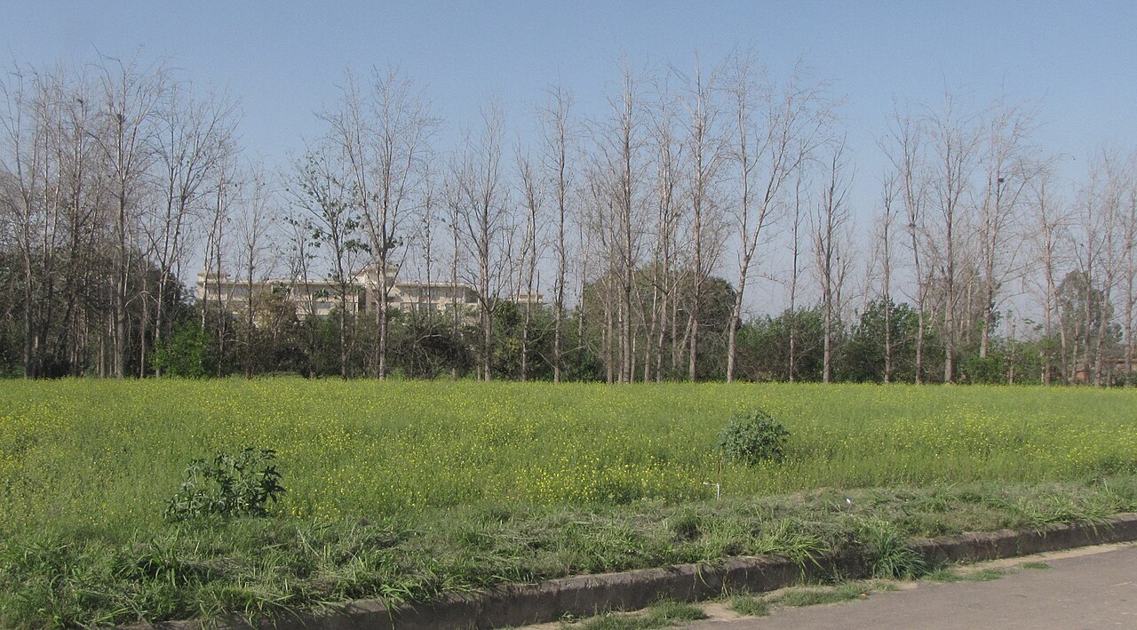 IISER Mohali campus in spring